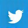 Twitter icon